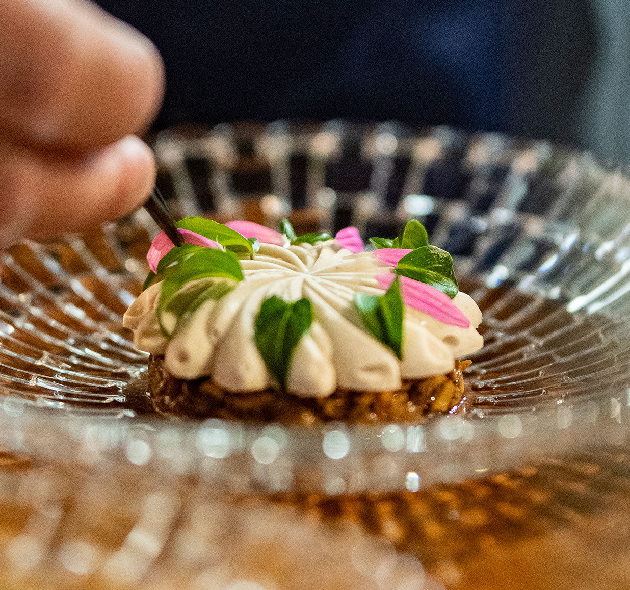 header-gutschein-surprise